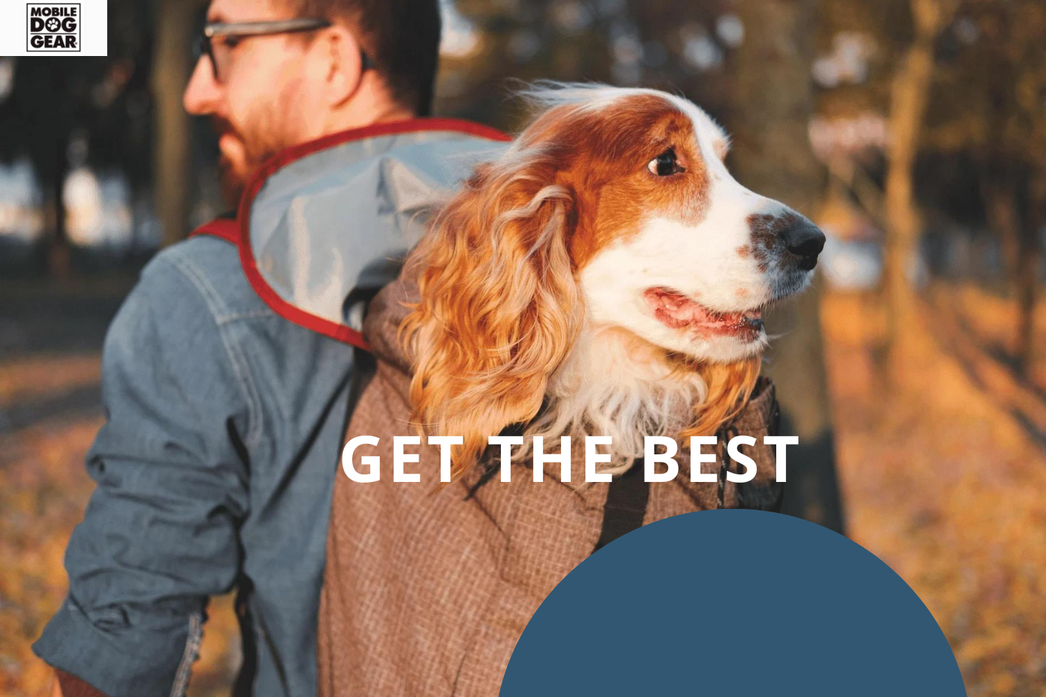 Dogs in backpacks online