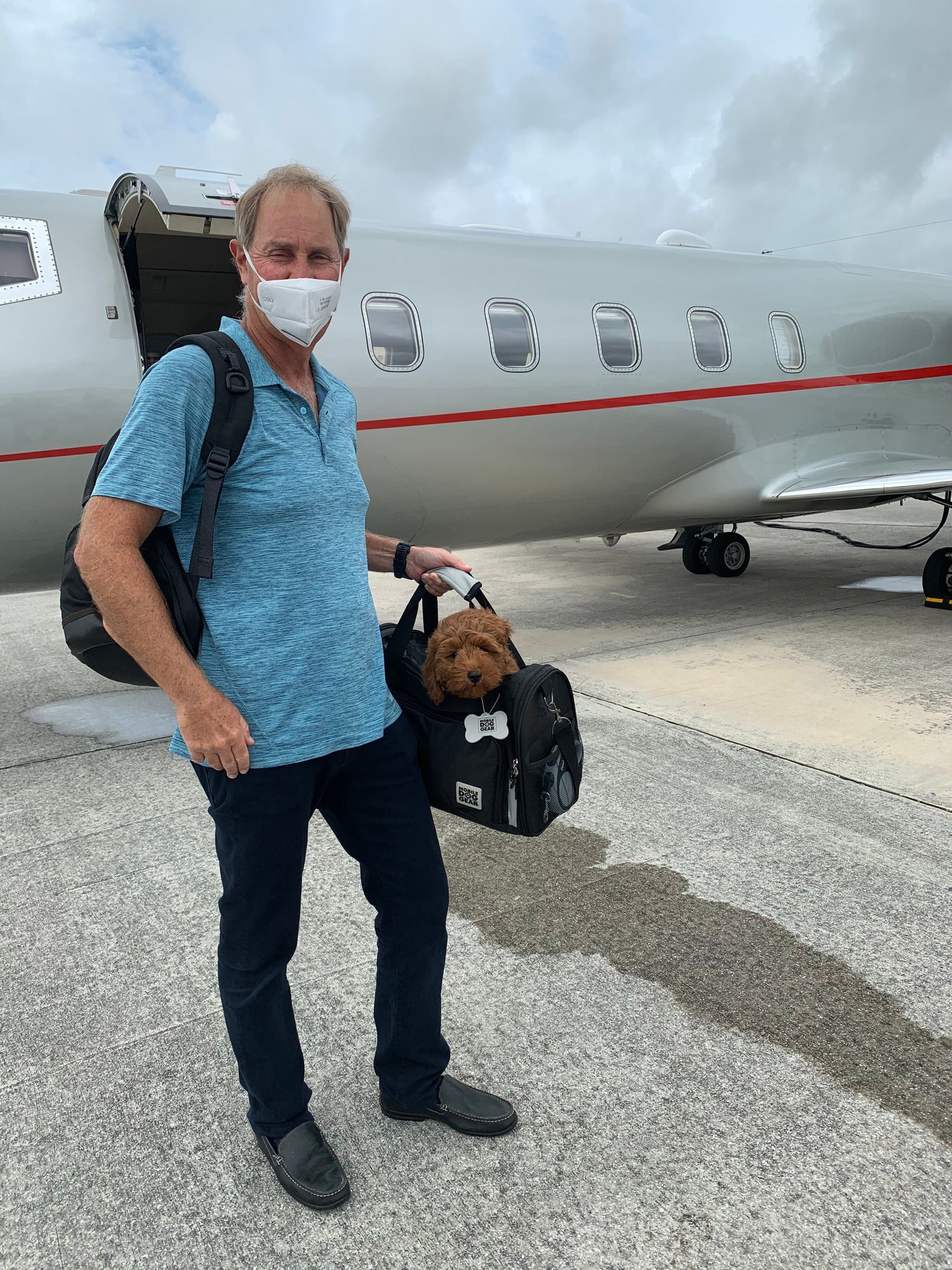 Comment préparer votre chien à un voyage en avion