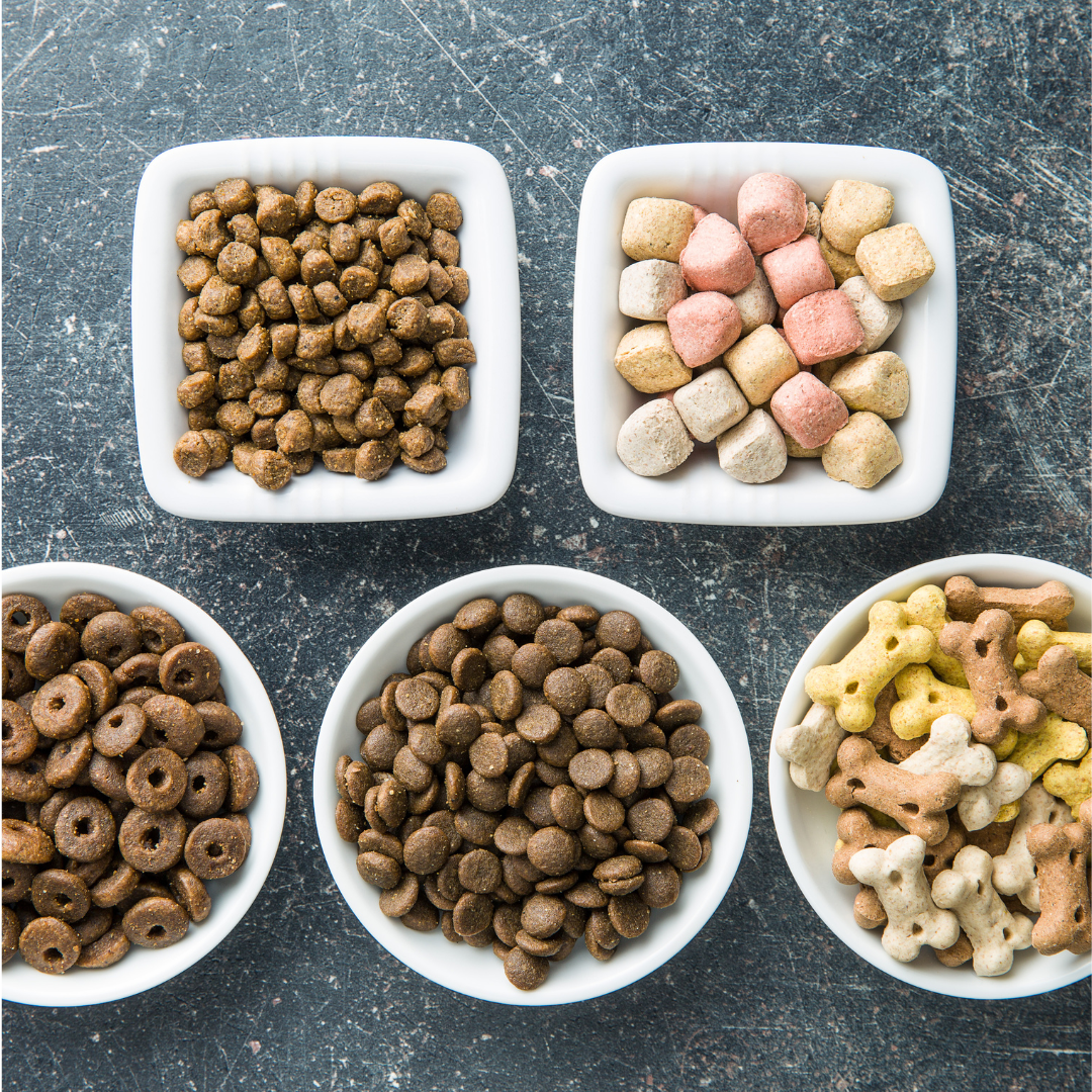 Tailoring Your Dog's Diet: Exploring Specialized Feeding Approaches