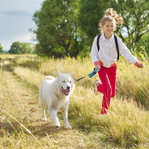 Les pattes en mouvement : Exercice et activités physiques pour les chiens