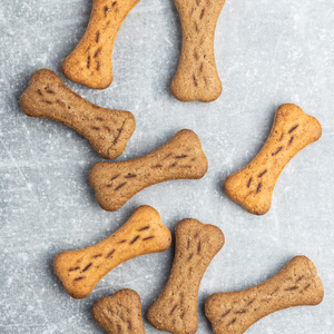Wholesome Delights: Homemade Dog Treats and Snacks