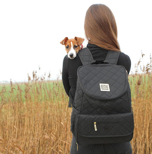 Top 10 things to bring while traveling with your pup!