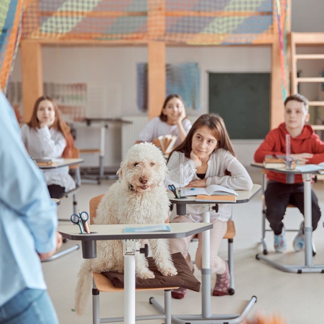 The Role of Working Dogs in Education
