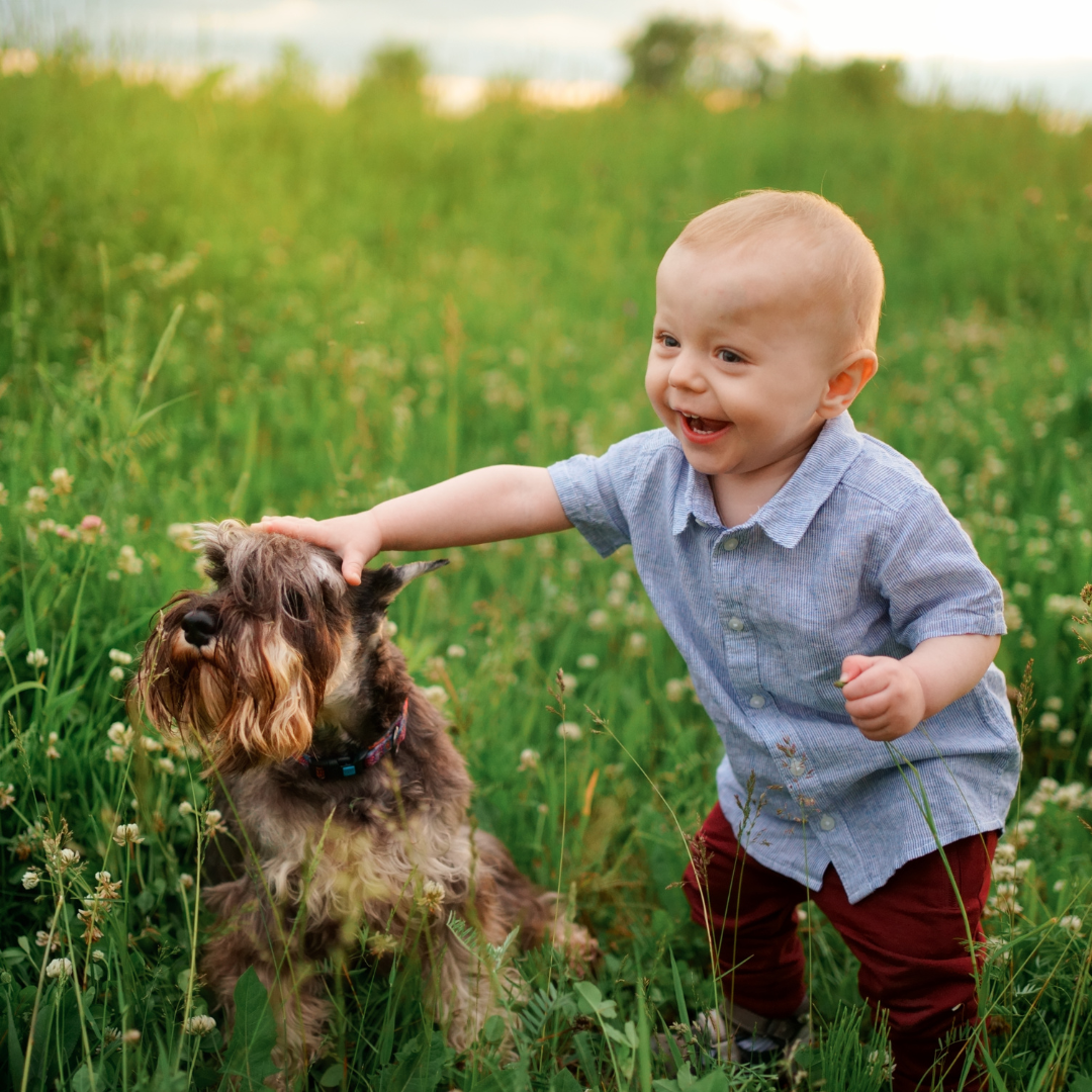How to Spot Signs of Aggressive Behavior in Dogs: A Guide for Parents
