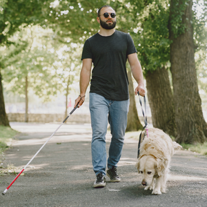 Service Dogs for the Visually Impaired| How To Select and Qualify