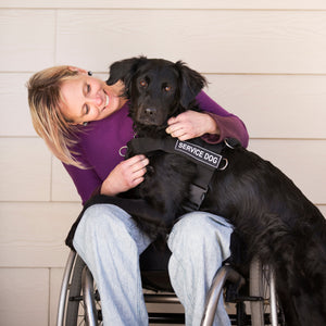 Introduction to Assistance Dogs: What They Are and Their Benefits and Challenges