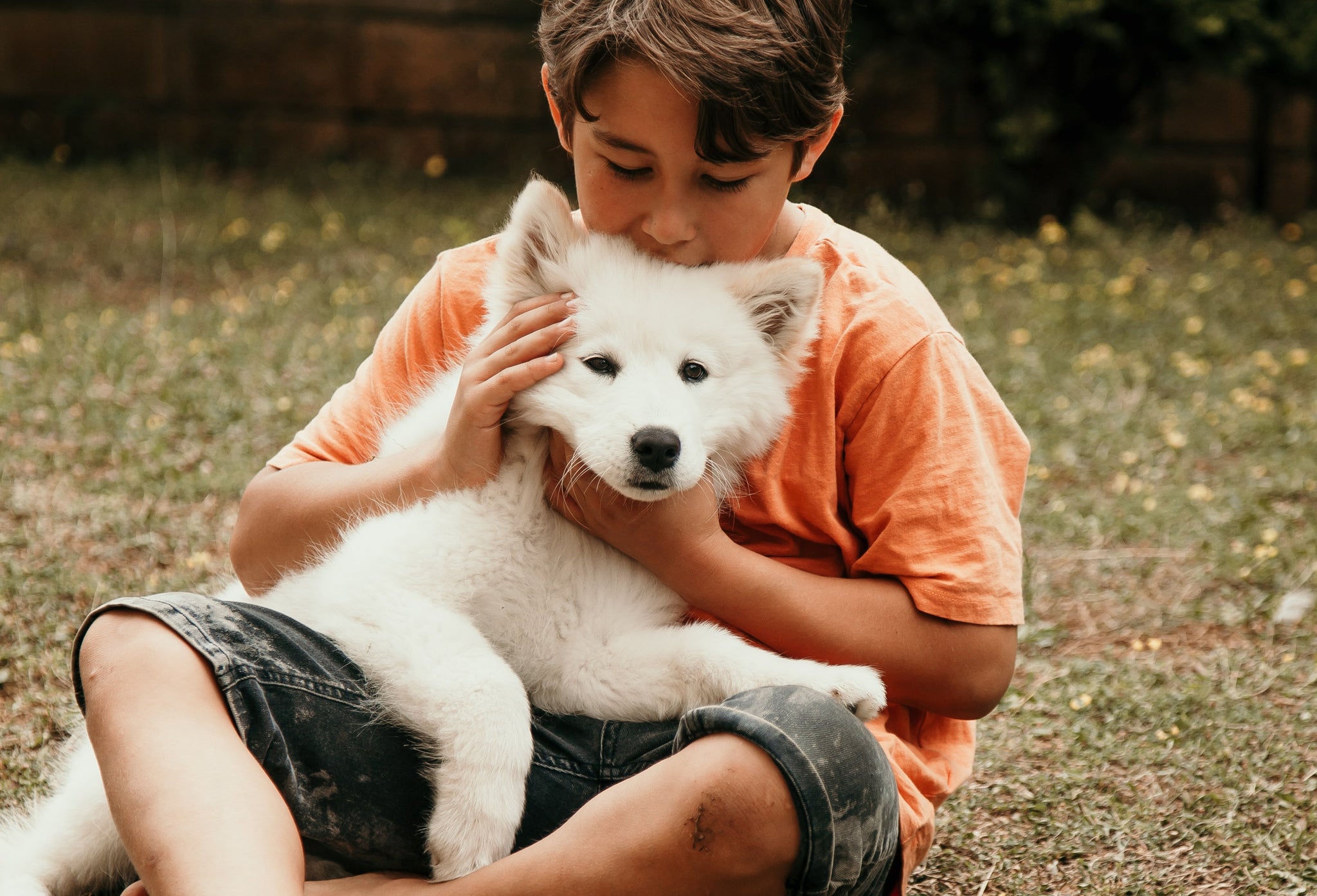 Common mistakes : Introducing a dog to a child