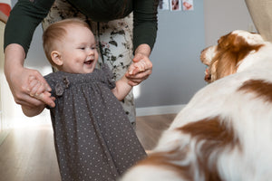 Introducing a Dog to a Child: Steps for a Safe and Successful Introduction