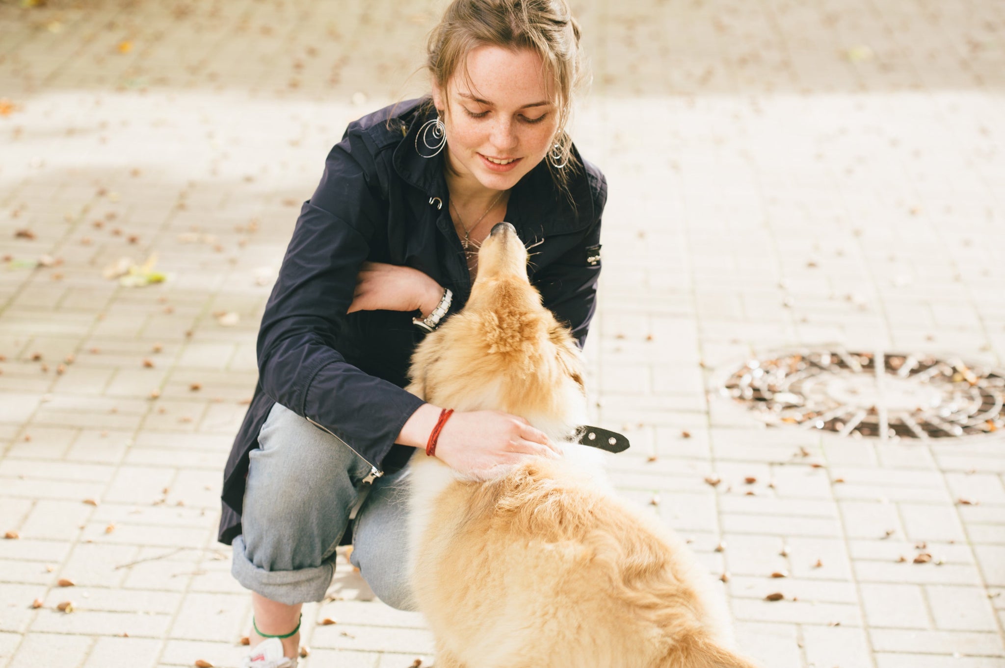 The Impact of Assistance Dogs on the Quality of Life of People with Special Needs